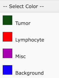 Color/Cancer Type Dropdown